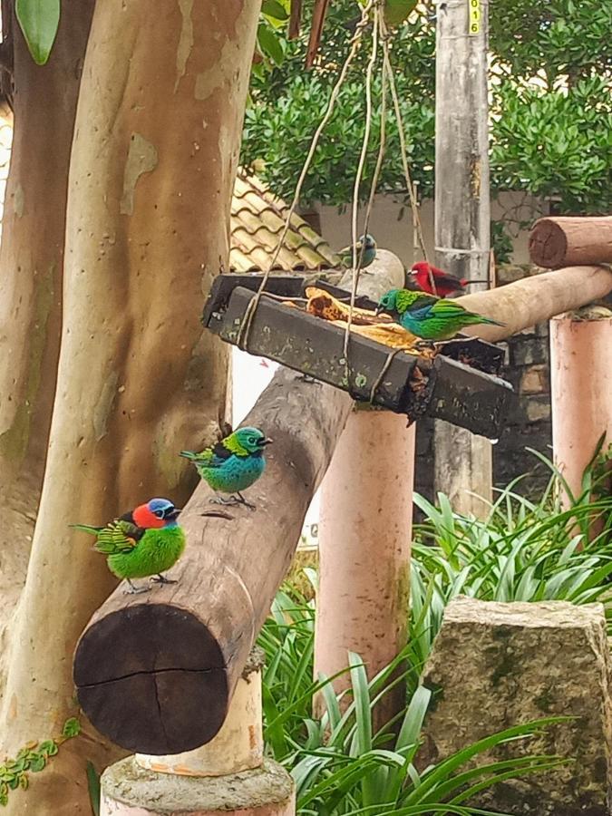 Suites Brilho Do Sol أوباتوبا المظهر الخارجي الصورة