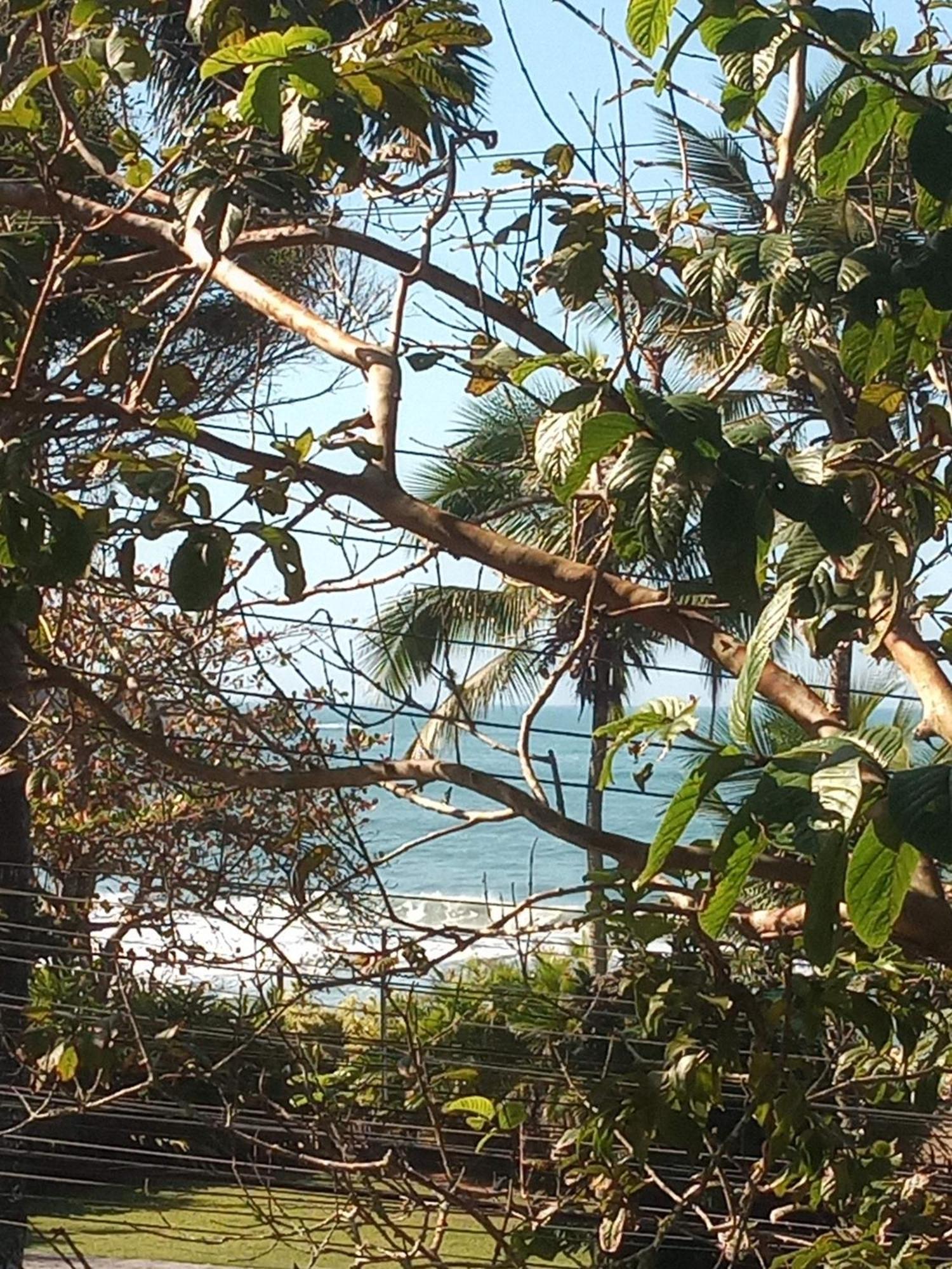Suites Brilho Do Sol أوباتوبا المظهر الخارجي الصورة